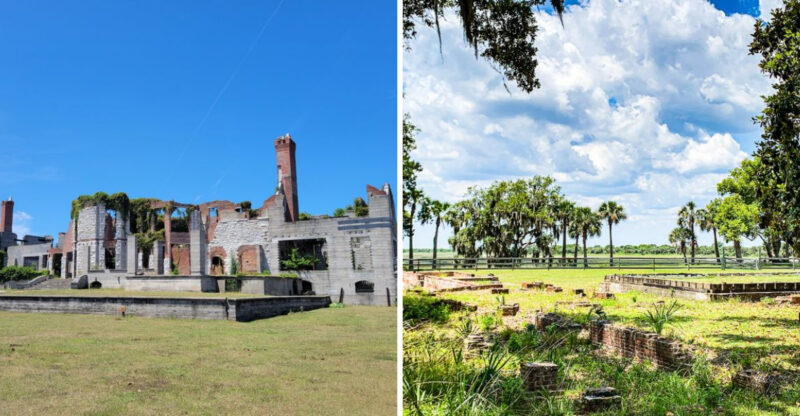 This Georgia Island Has A Historic Estate, Mansion Ruins, And Free-Roaming Horses