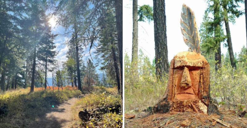 This Easy Idaho Forest Hike Hides A Strange Carved Face Most People Walk Right Past