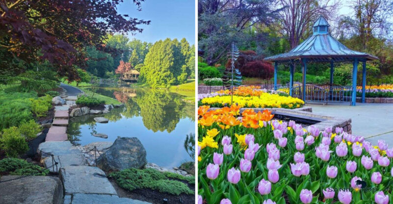 You’ll Never Forget Your First Visit To This Enchanting Botanical Garden Waiting In Maryland