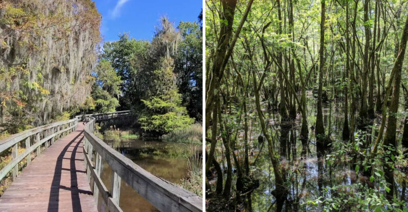 14 Georgia Trails Where Hikers Should Take Tick Precautions This August