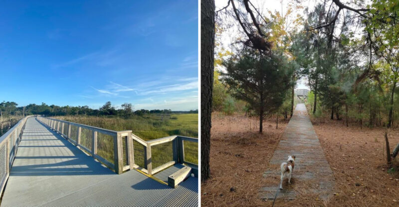 Forget The Beach For A Day And Explore These 8 Delaware Trails Instead