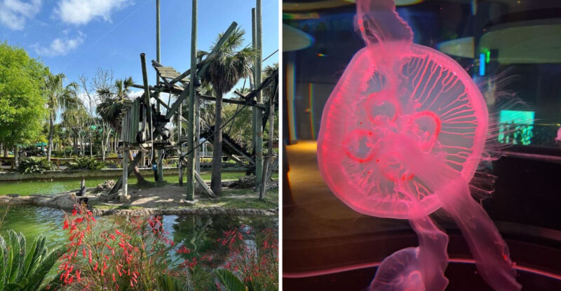 This Florida Aquarium Becomes An Underwater Escape After Sunset