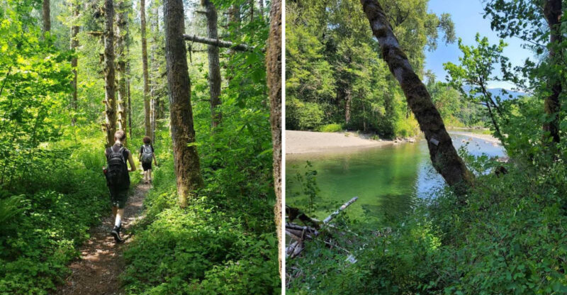 This Easy Washington Nature Trail Offers Shade, Benches, And A Relaxing Walk
