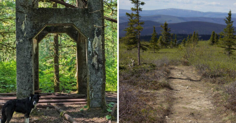These 10 Alaska Trails Are Perfect For A Weekend Adventure With Your Dog