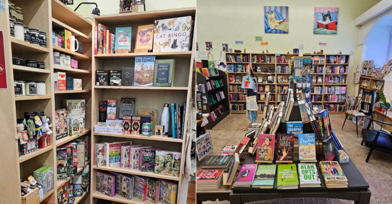 This Cat-Themed Connecticut Bookstore Feels Full Of Endless Curious Finds