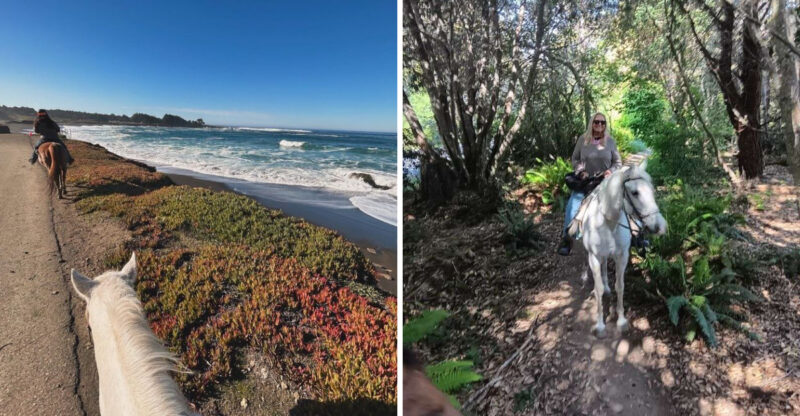 Ride Horses Across A Wild California Beach At This Scenic Ranch Beside The Pacific