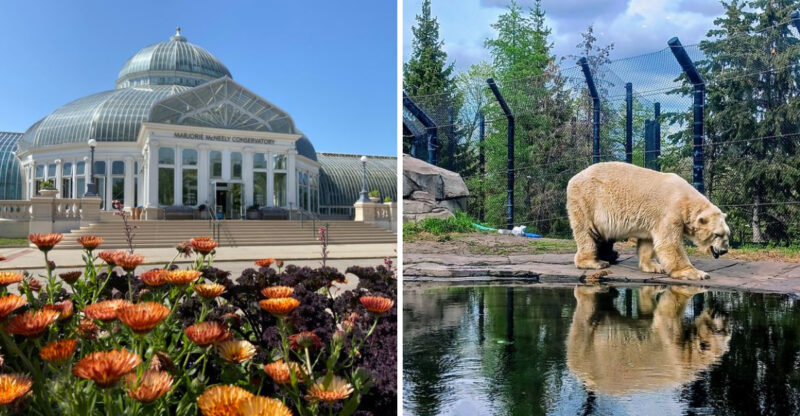 One Of The Last Free Zoos In The U.S. Sits In Minnesota, And It’s Pure Magic