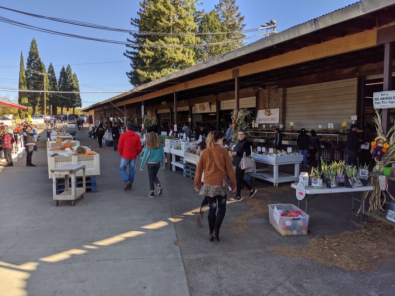 Boa Vista Orchards: Apple Hill's Cozy Classic