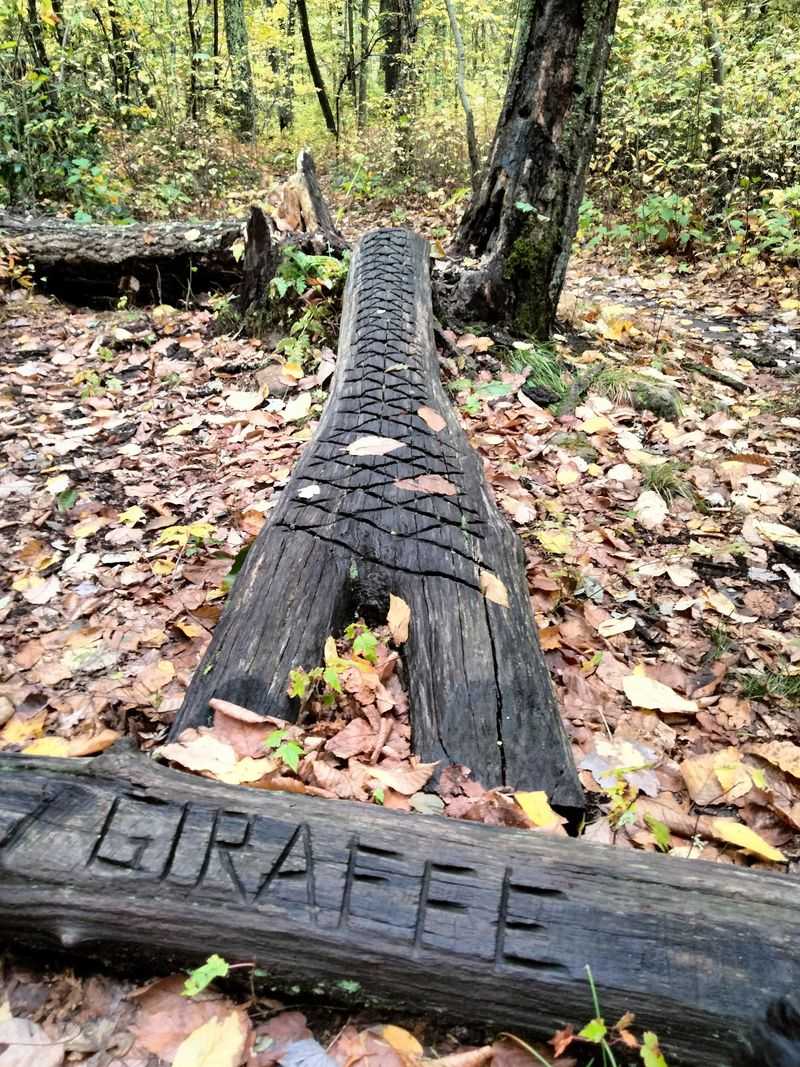 Rockland Preserve Natural Playground, Madison