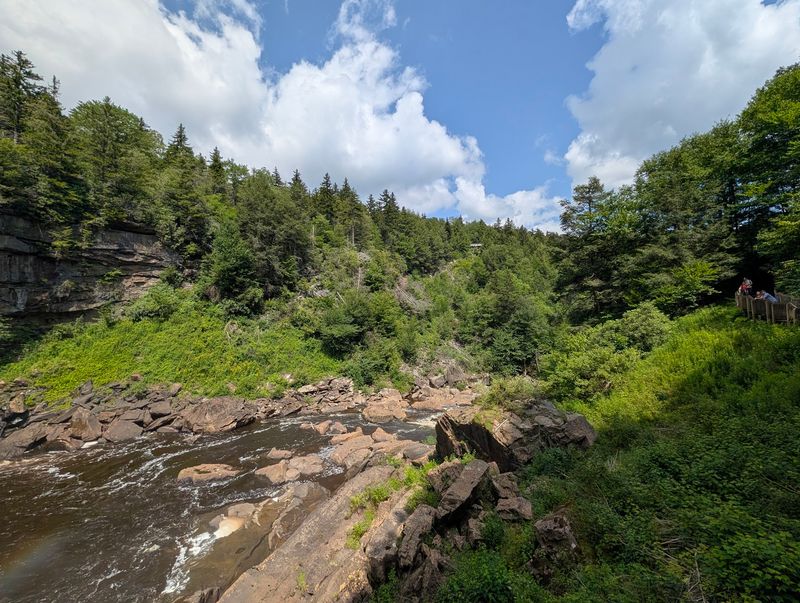 10 Must-Try West Virginia Hikes, Ranked From Gentle To Challenging - Decor Hint Gentle Trail, Davis