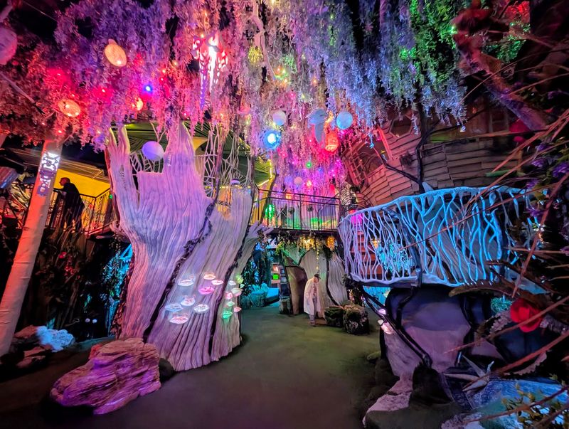 Meow Wolf Santa Fe, Santa Fe
