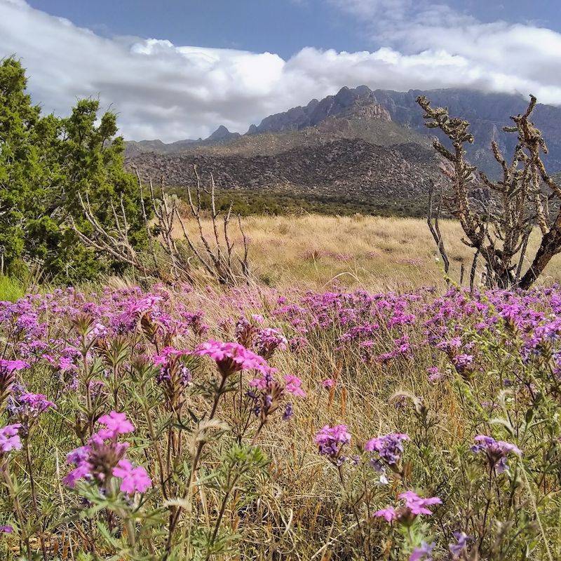 10 New Mexico Picnic Spots With Views That Almost Don’t Look Real - Decor Hint Elena Gallegos Open Space, Albuquerque