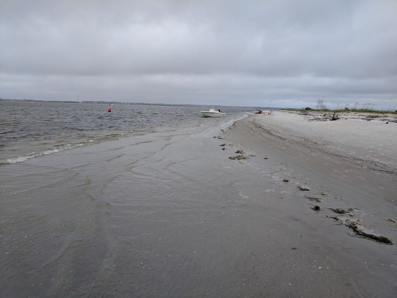 10 North Carolina Coastal Spots Where You Could Encounter The Mysterious Blue Land Crab - Decor Hint Emerald Isle