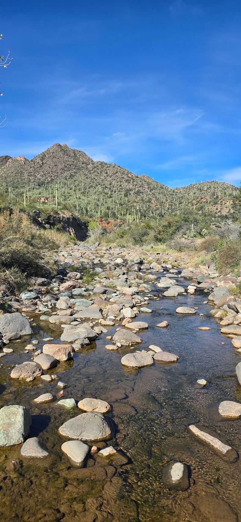 Black Hills Rockhound Area, Safford