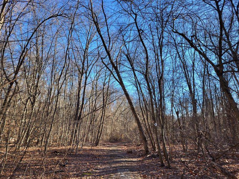 Geddes Bowen Preserve, Cumberland