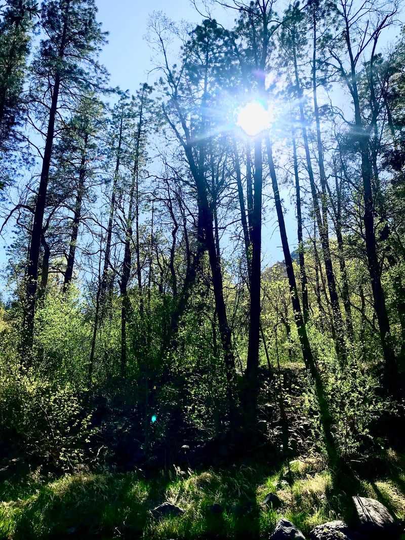 Arizona Trail Passage 34: San Francisco Peaks, Flagstaff