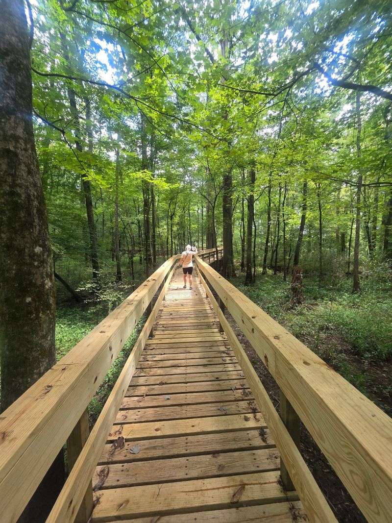Pinson Mounds State Archaeological Park, Pinson