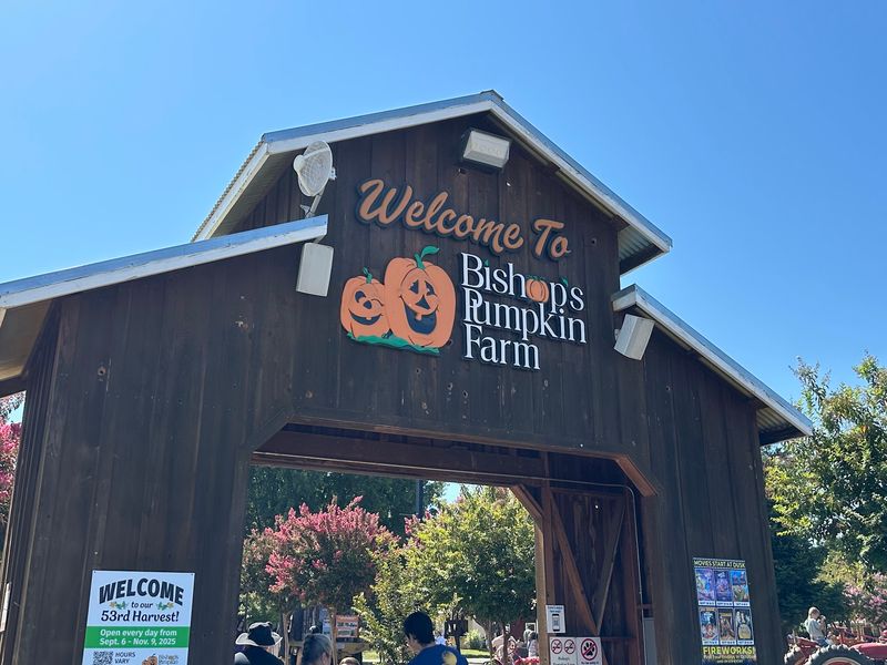 11 California Bakeries Serving The Most Amazing Pumpkin Treats This Fall - Decor Hint Mrs. B's Bakery at Bishop's Pumpkin Farm, Wheatland