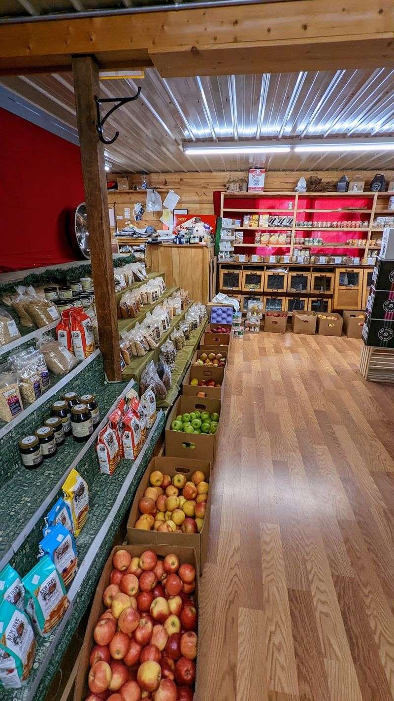 David & Katie's Amish Store, Homer