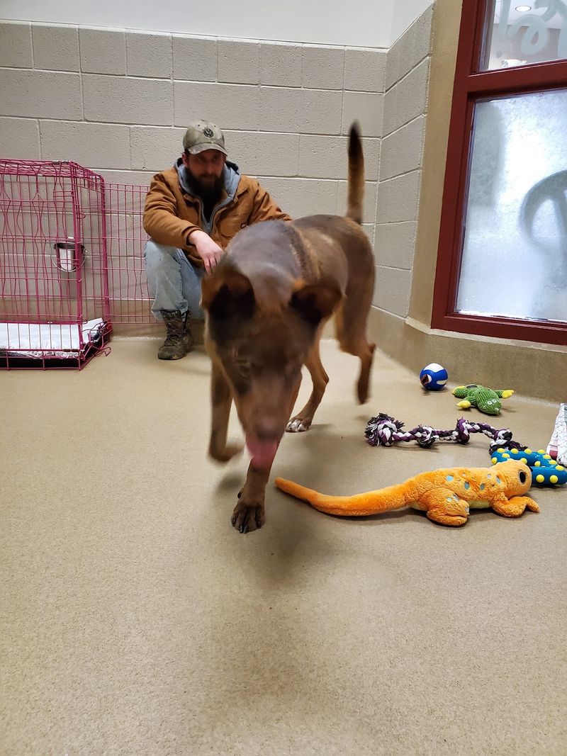 SPCA Of Wake County - Raleigh