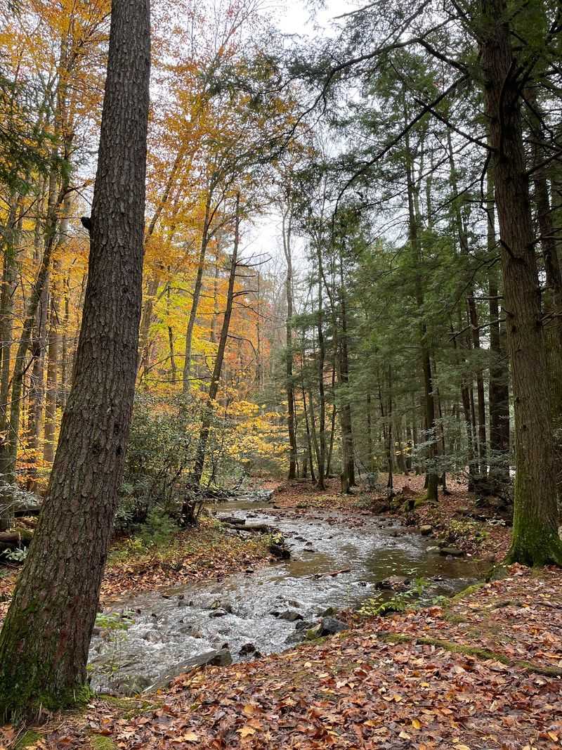 Hurricane Campground, Sugar Grove