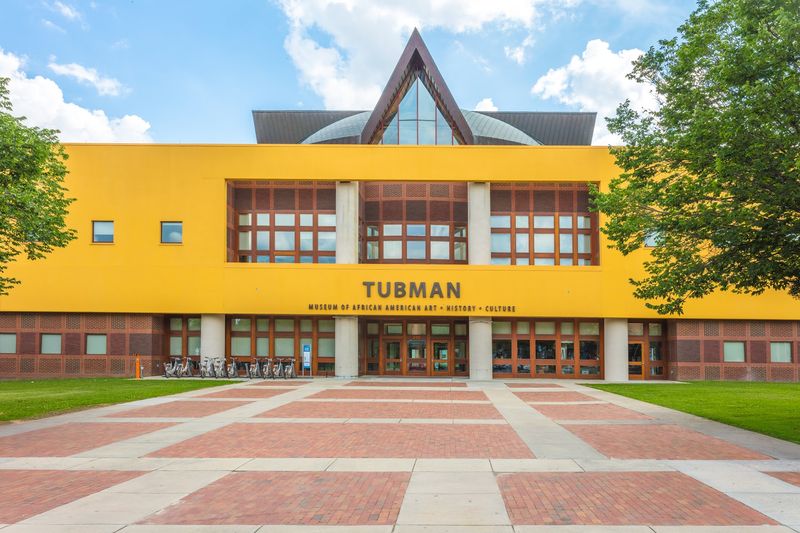 Tubman Museum, Macon