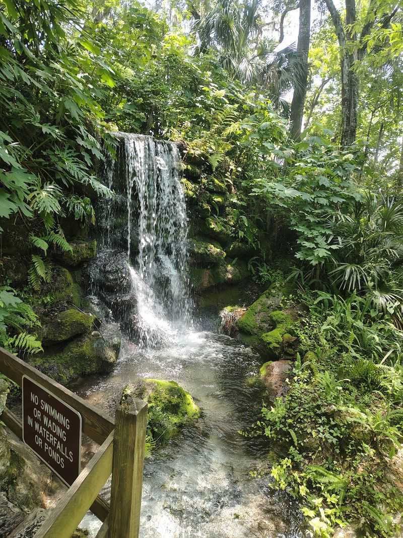 Rainbow Springs State Park, Dunnellon, FL