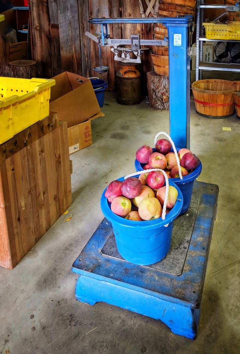 Williams Fruit Ranch, Emmett, ID