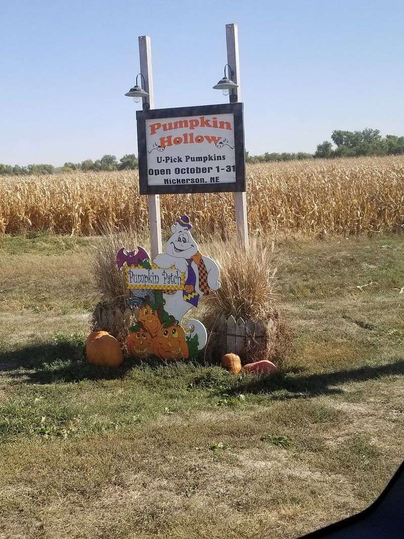 Pumpkin Hollow