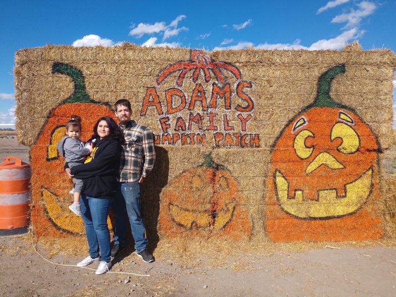 7 Family-Friendly Pumpkin Patches In Nebraska That Are More Fun Than Frightening - Decor Hint Adams Family Pumpkin Patch In Scottsbluff