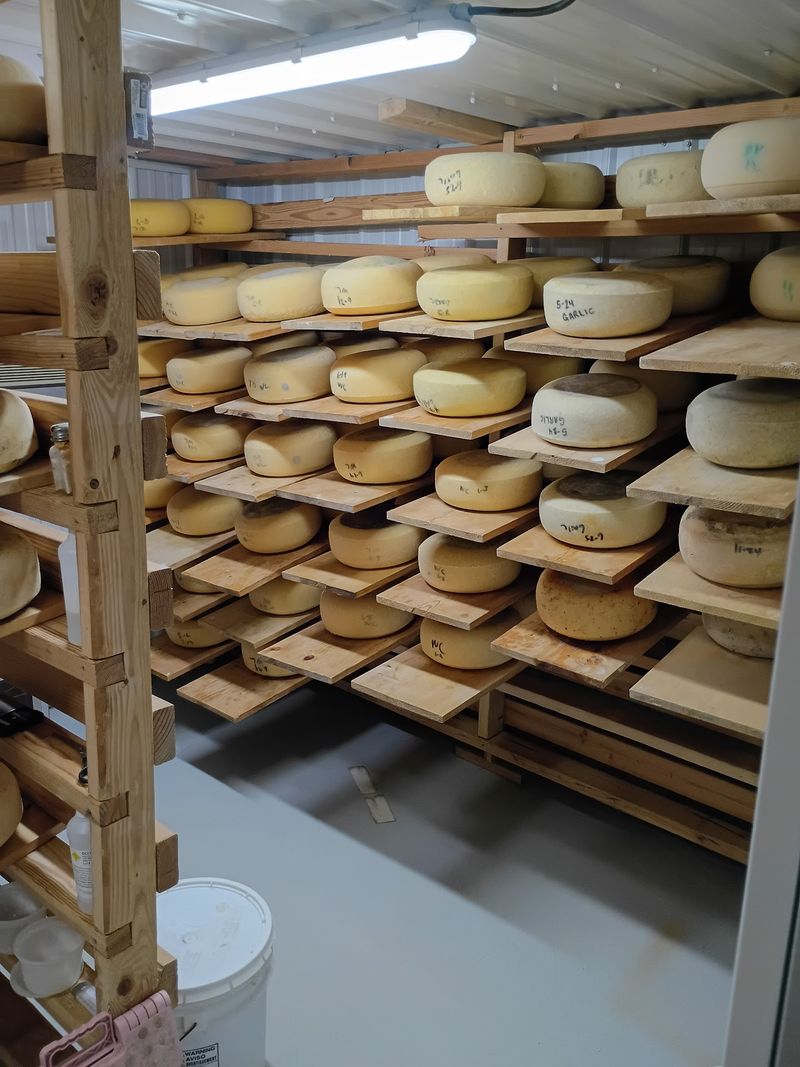 Evans Farmstead Cheese, Buhl, ID