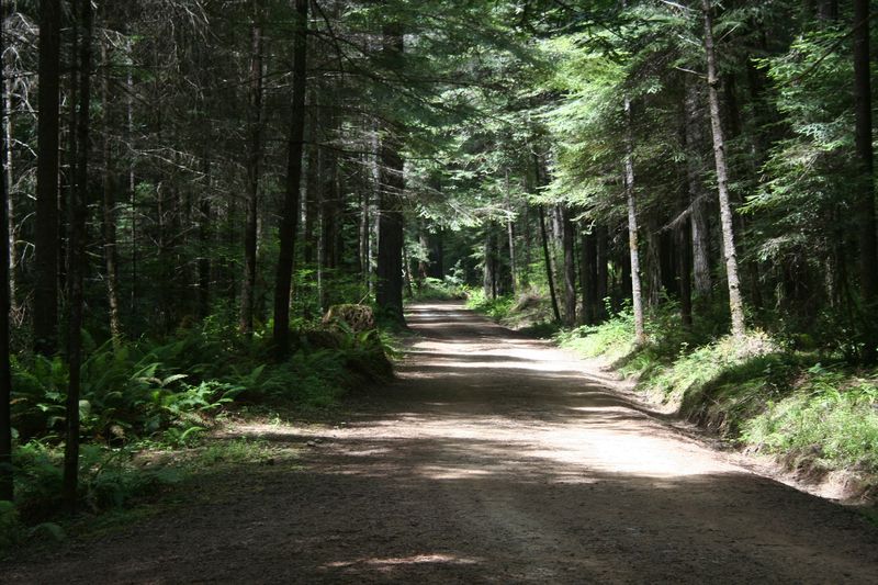 Clinton Road, Jackson State Forest - Mendocino County