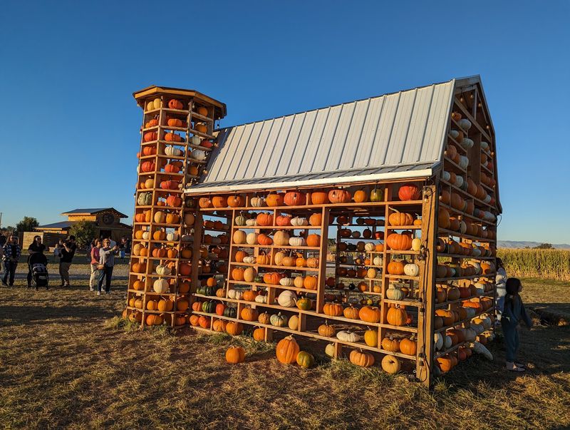 9 Idaho Pumpkin Patches Where Families Pick Straight Off The Vine This October - Decor Hint Lowe Family Farmstead In Kuna