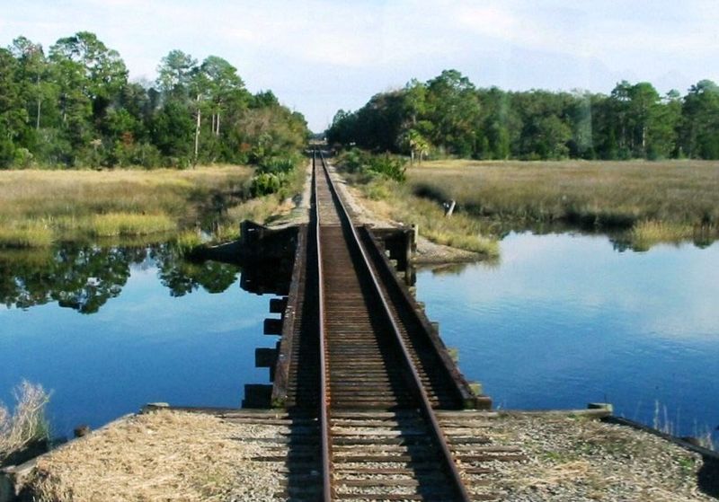 Marsh Views On The Way To Burrell Creek