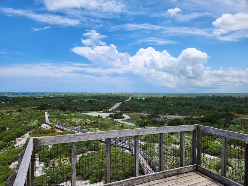 Florida's Little Mountain Overlook Inside This State Park Hides A Secret Snake Problem - Decor Hint Room for Dogs, Kayaks, and Quiet Seekers