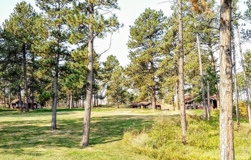 Seasons In The Pine Ridge, From April To November
