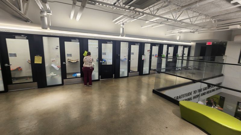 Hundreds of Animals Under One Very Clean Roof