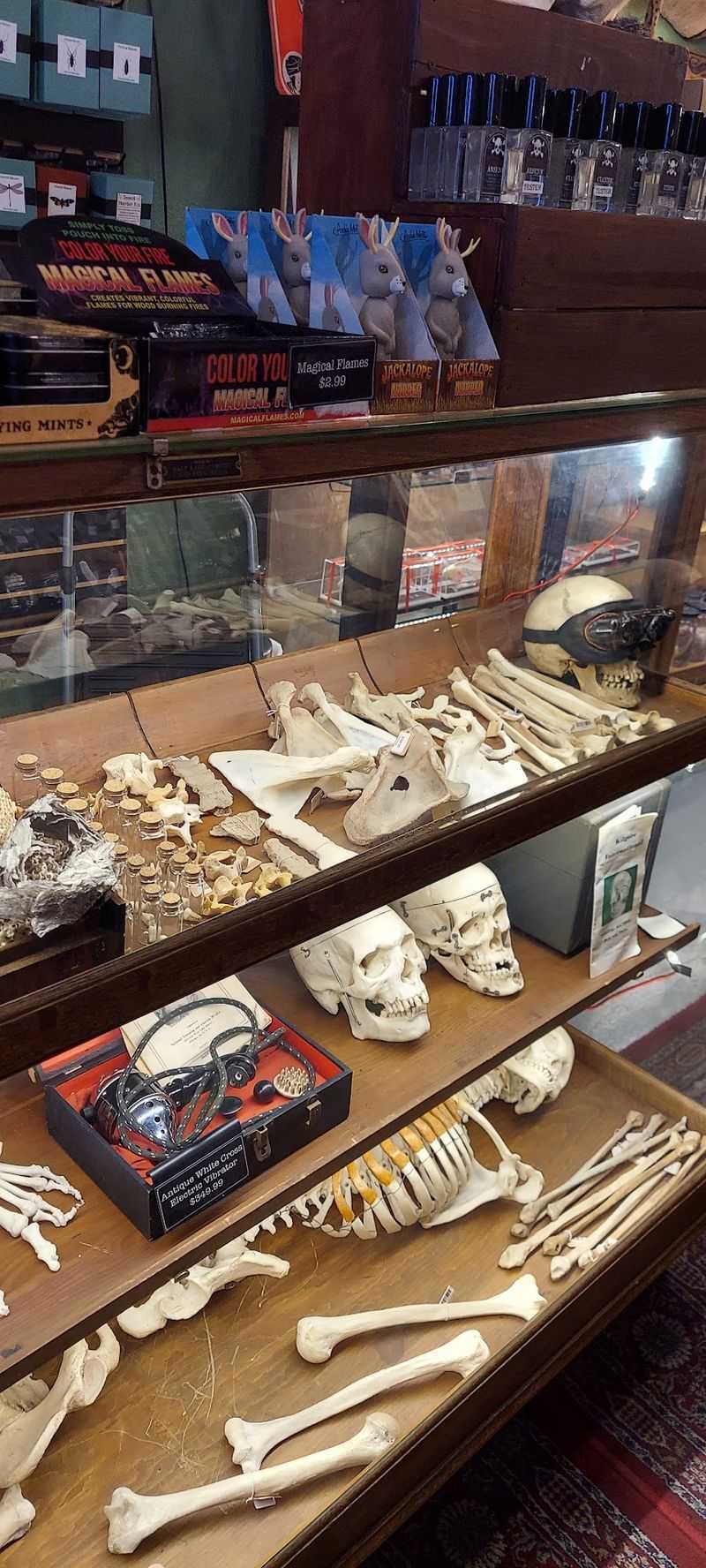 From Veterinary Work To Storefront