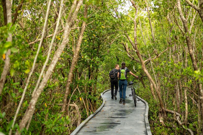 This Four-Mile Florida Wildlife Drive Takes You Past Roseate Spoonbills And Wild Wetlands - Decor Hint Drive It, Bike It, or Let Someone Else Steer