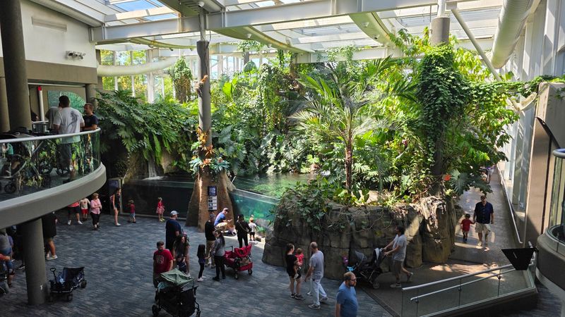 Where Jungle Meets Ocean