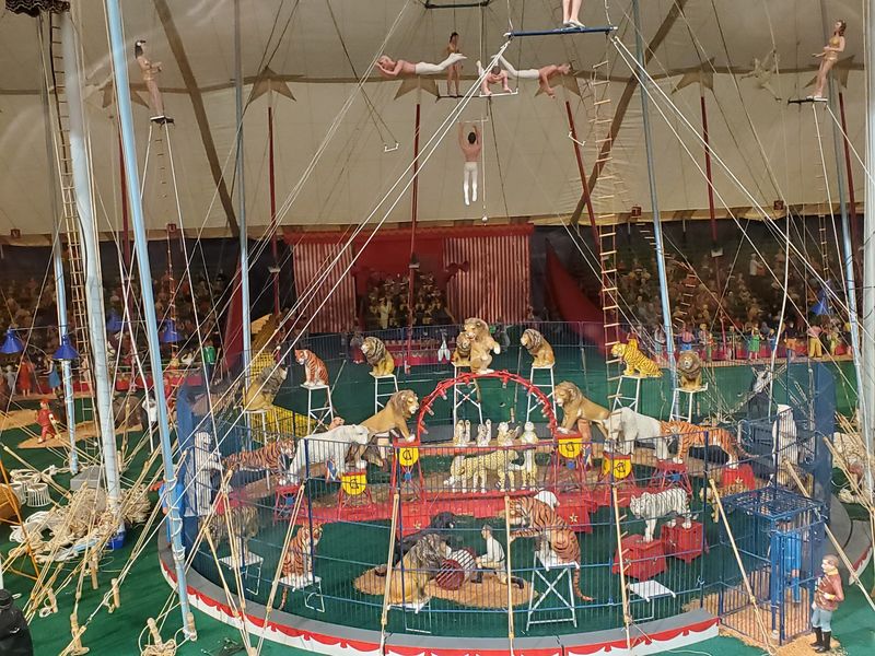 Hands-On Circus Moments