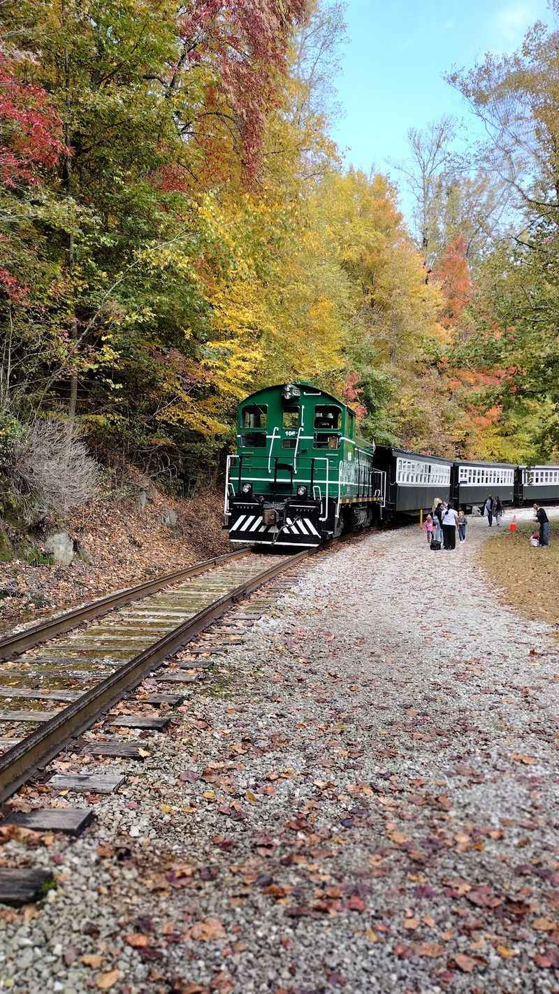This Stunning Train Ride In Kentucky Is Packed With Fall Foliage And Fun For All Ages - Decor Hint Snacks, Trails, And Souvenirs At The Stop