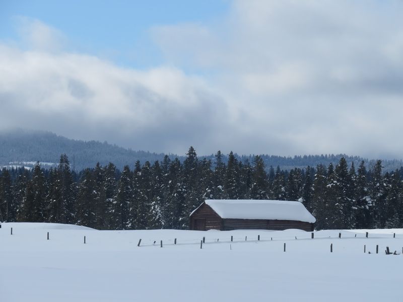 Travelers From Alberta And The Yukon