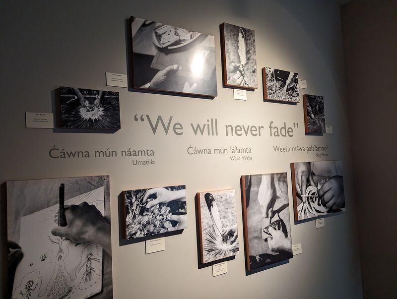Cháwna Mun Na'ámta: We Will Never Fade