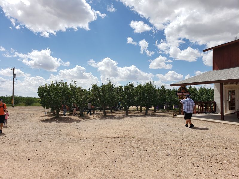 High Desert Harvest Heaven