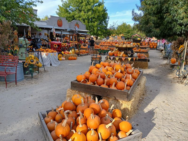 An Easy Highway 46 Fall Road-Trip Stop