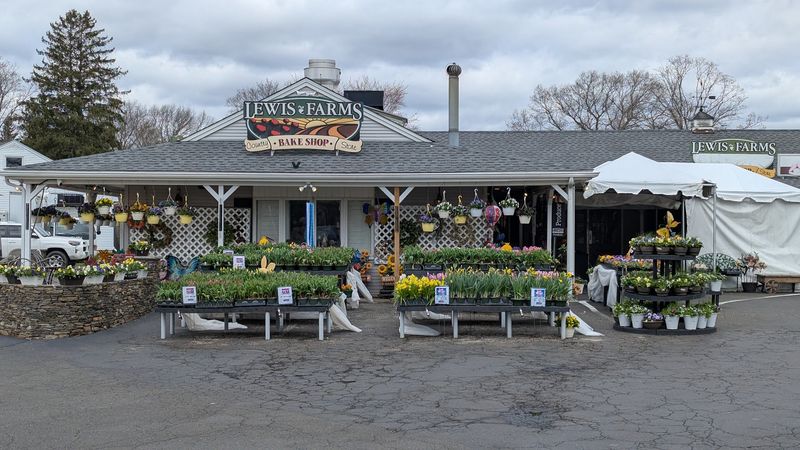 Belleview Avenue Leads Into Country Charm