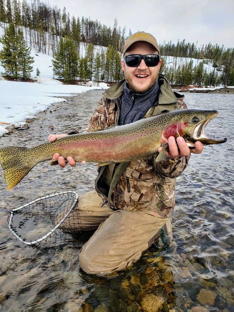 Every Fall Thousands Of Kokanee Turn Bright Red In This Idaho Creek - Decor Hint Steelhead Days And Spring Runs