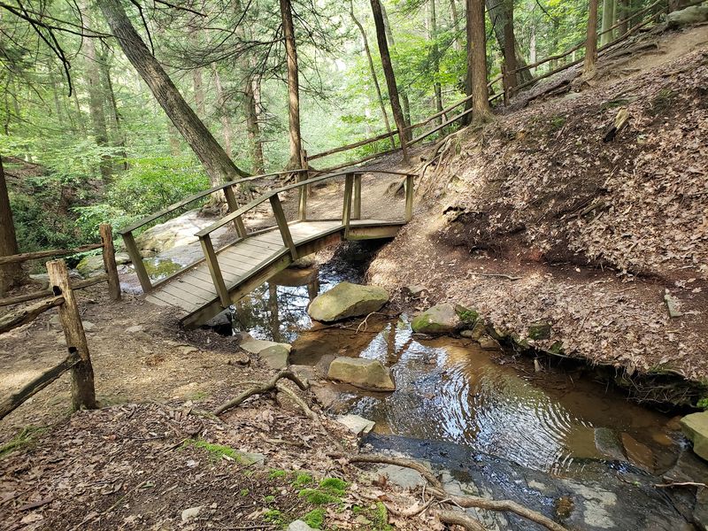 Trout Streams You Can Actually Reach