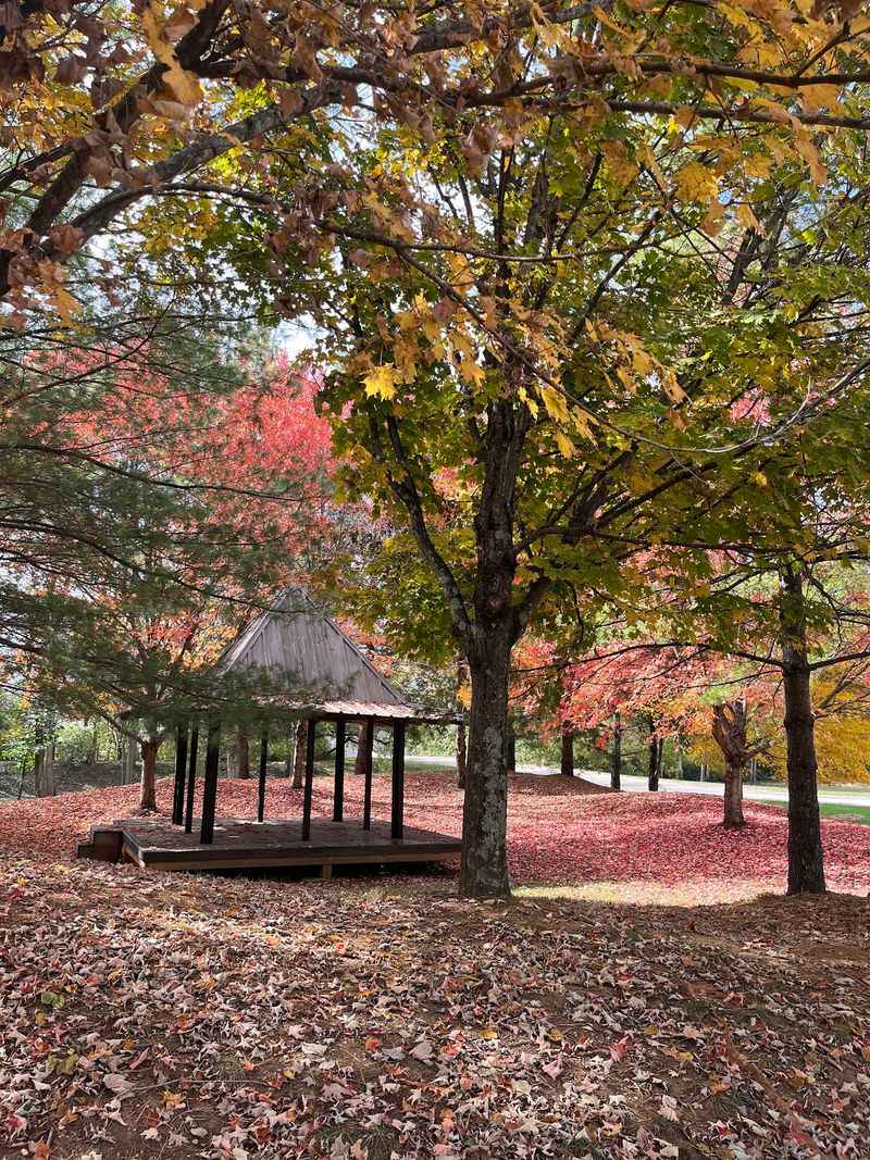 This Free Kentucky Japanese Garden Has Arched Bridges, Koi Ponds, And Peaceful Paths Waiting To Be Explored - Decor Hint Blossoms, Maples, And Paths Made For Wandering